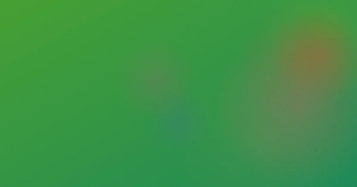 张慧妹值得吗？听前指南