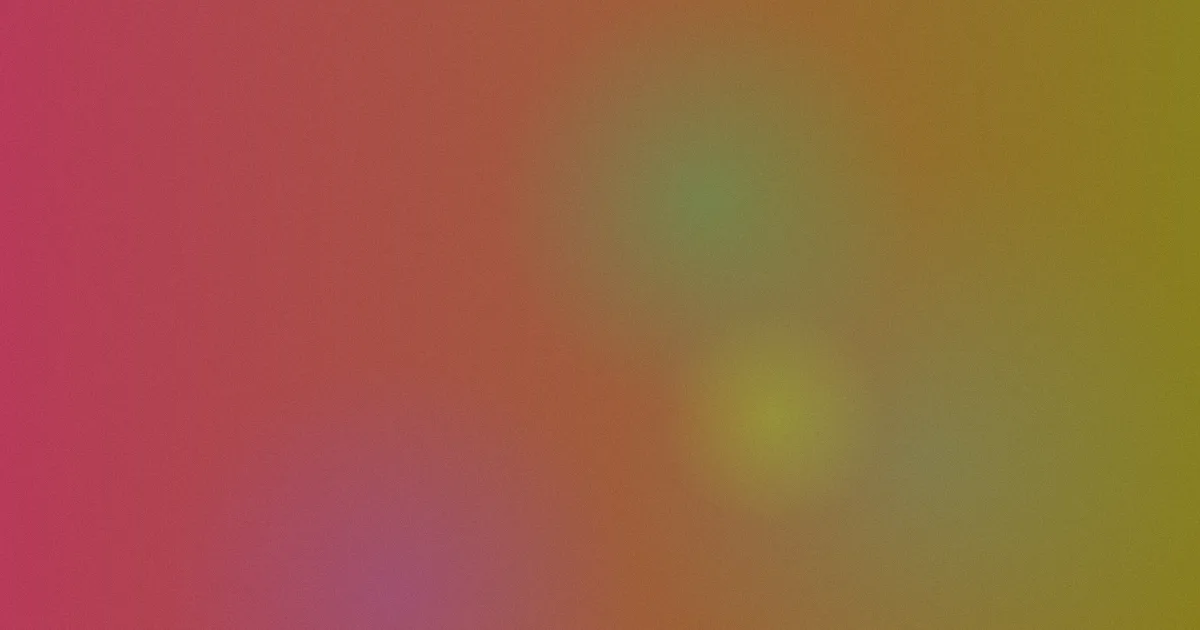 金善英推荐：新手看片顺序